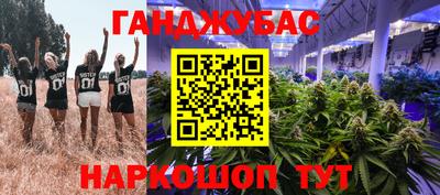 гашиш Новокубанск